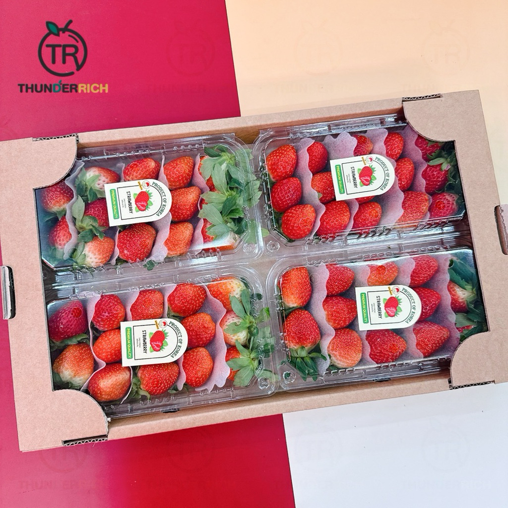 ส่งฟรี‼️สินค้าเข้าใหม่ 30/11/68‼️ Korea Strawberry 🍓🇰🇷 สตรอว์เบอร์รี่กล่องน้ำตาลนำเข้าจากประเทศเกาหลี✈️