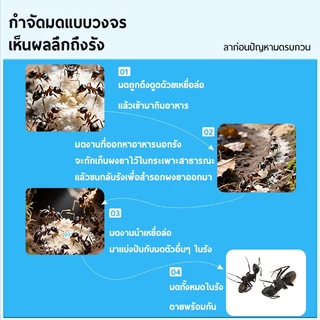 ซื้อ2แถม1 (โปรโมชันจำกัดเวลา)ยาฆ่ามดแบบผง 60g กำจัดมดทั้งรัง โรยเดียวตายยกรัง 100%เห็นผล ปลอดภัยต่อสัตว์เลี้ยง