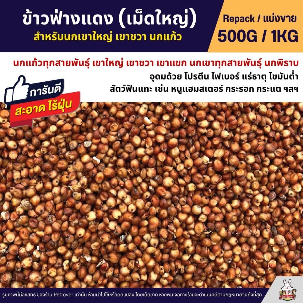 ข้าวฟ่างแดง อาหารนก หนูแฮมสเตอร์ อาหารนกเขาใหญ่ เขาชวา นกแก้ว (แบ่งขาย 500G / 1KG)