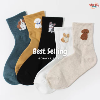 Chacha socks - ถุงเท้าข้อยาว Doggy Club ถุงเท้านำเข้าจากเกาหลี ถุงเท้าเกาหลี