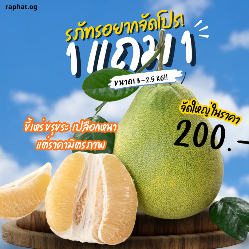 [1 แถม 1] ส้มโอขาวใหญ่ อัมพวา Extra 1.8-2.5 กก. ผิวขรุขระ สีไม่สวย