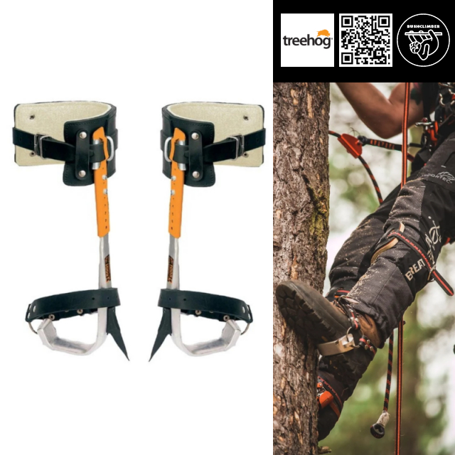 รองเท้าปีนต้นไม้ ขาเหล็กปีนต้นไม้ สเปอร์ ของแท้จากอังกฤษ Treehog Tree Climbing Spurs