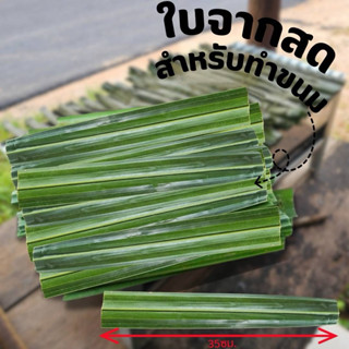 ใบจากห่อขนมจาก ขนาดความยาว35 ซม. 1 กิโลกรัม