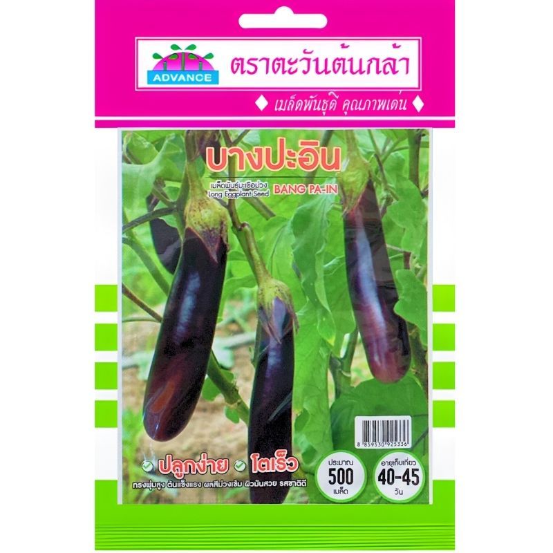 เมล็ดพันธุ์ มะเขือยาว บางปะอิน ตะวันต้นกล้า