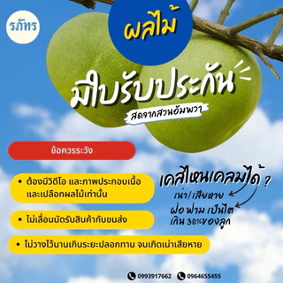 [ผิวไม่สวย ทรงไม่สวย ผึ่งแล้ว] ส้มโอขาวใหญ่อัมพวา ขายเป็นกิโล - คละไซส์ใน แต่ละโล