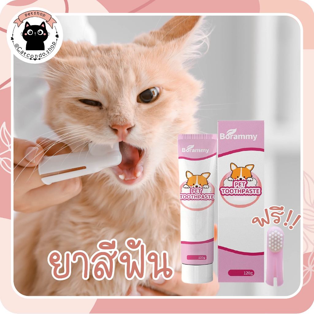 🌵 แปรงสีฟันสัตว์เลี้ยง 360องศา หัวแปรง ขนนุ่ม อ่อนโยนต่อเหงือกและฟัน แปรงสีฟันหมาและแมว 🌵