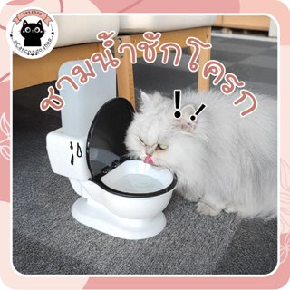 🌵 โถให้น้ำ โถใส่น้ำ ดีไซน์เก๋ เครื่องให้น้ำแมวอัตโนมัติ ดีไซ…