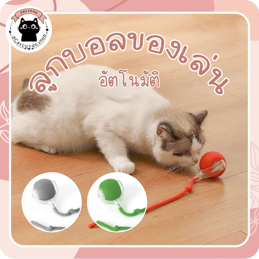 🌵 ลูกบอลมีหาง อัตโนมัติ ลูกบอลแมวดูดติดพื้นอัตโนมัติ เชือกฝ้าย ทนแรงกัด ของเล่นแมวช่วยคลายเครียด 🌵