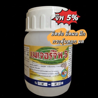 เมเจอร์จิพ5% ยืดราก ช่อ ผล ฝัก ยอด ขนาด 100cc