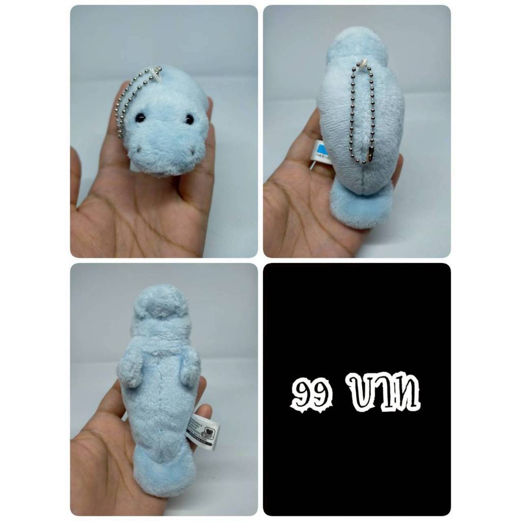 Manatee#พะยูนแมนนาที#พะยูน#Okinawa Churaumi Aquarium#งานพวงญี่ปุ่นมือสอง