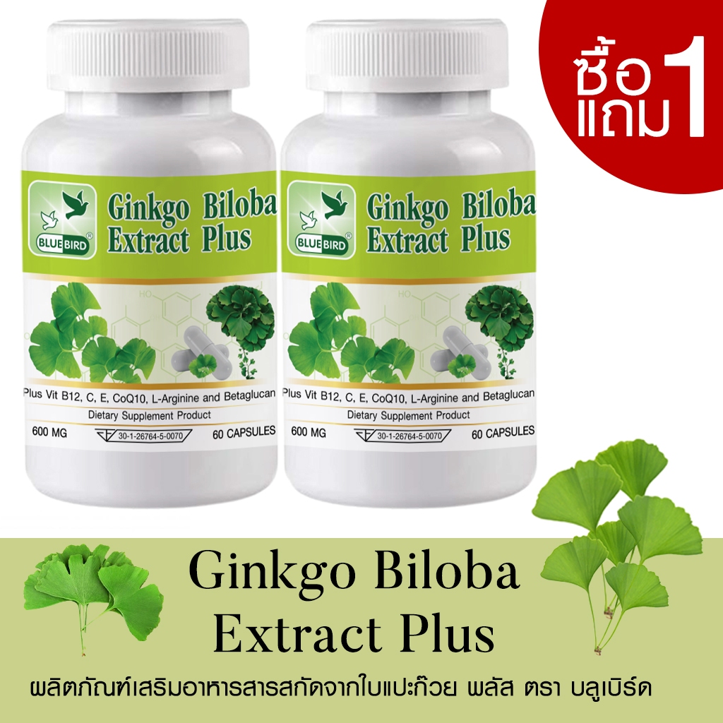 [1แถม1] สารสกัดจากใบแปะก๊วย พลัส Ginkgo Biloba Extract Plus ตรา บลูเบิร์ด ขนาด 600 มก. 60 แคปซูล