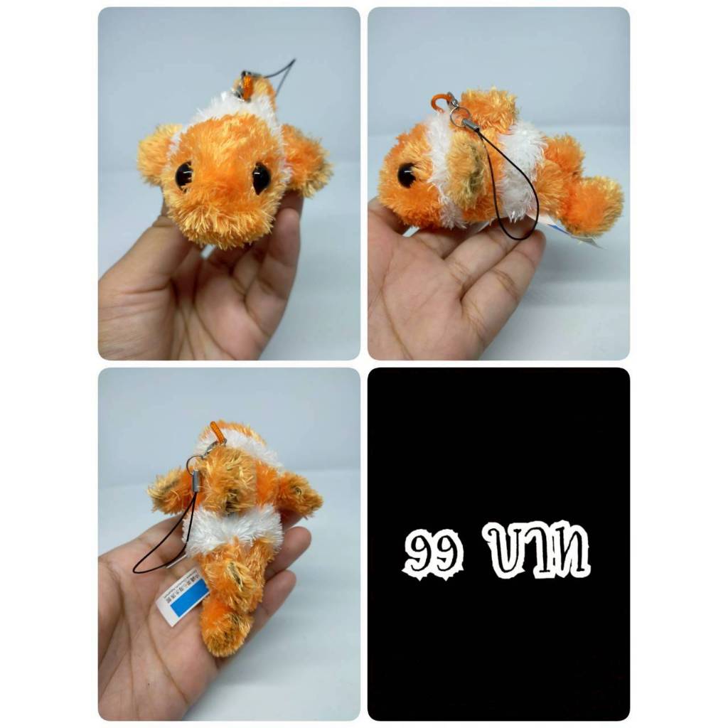 Clownfish#ปลาการ์ตูน#ปลา#Okinawa Churaumi Aquarium#งานพวงญี่ปุ่นมือสอง