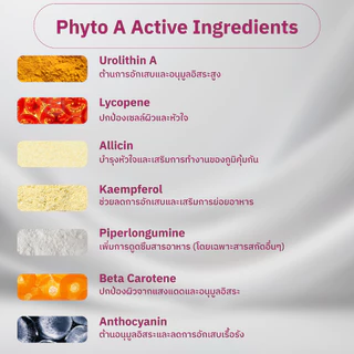 LIVMORE Phyto Series A+B | เซ็ตคู่กู้เซลล์เสื่อม (Autophagy) | ปรับฮอร์โมน ย้อนวัยระดับ DNA|ปรับสมดุลระบบเผา