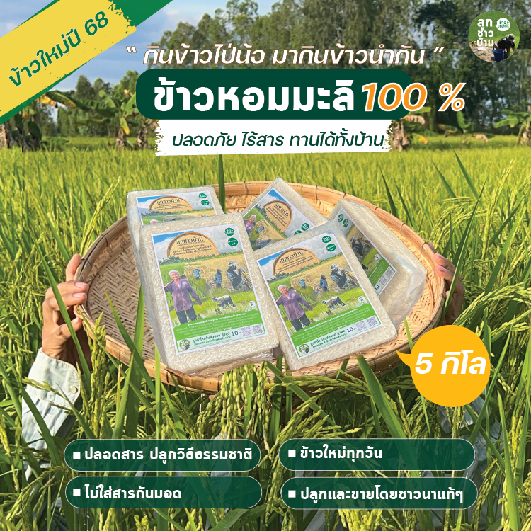 [ลูกชาวบ้าน] ข้าวหอมมะลิแท้ 100% ข้าวสุขภาพ ปลอดสารพิษ (อิ่มคุ้ม 5 กก.) ข้าวใหม่ปี 68 ชาวนาปลูกเอง 👩🏻‍🌾🌾