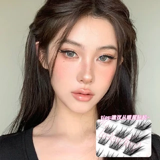 ขนตาปลอม แบบไม่ใช้กาว ขนตาปลอมแบบแบ่งส่วน แบบฟ็อกซ์ แบบลูกสุนัข แบบธรรมชาติ แบบถ่ายรูปสวย มีหลายแบบให้เลือก