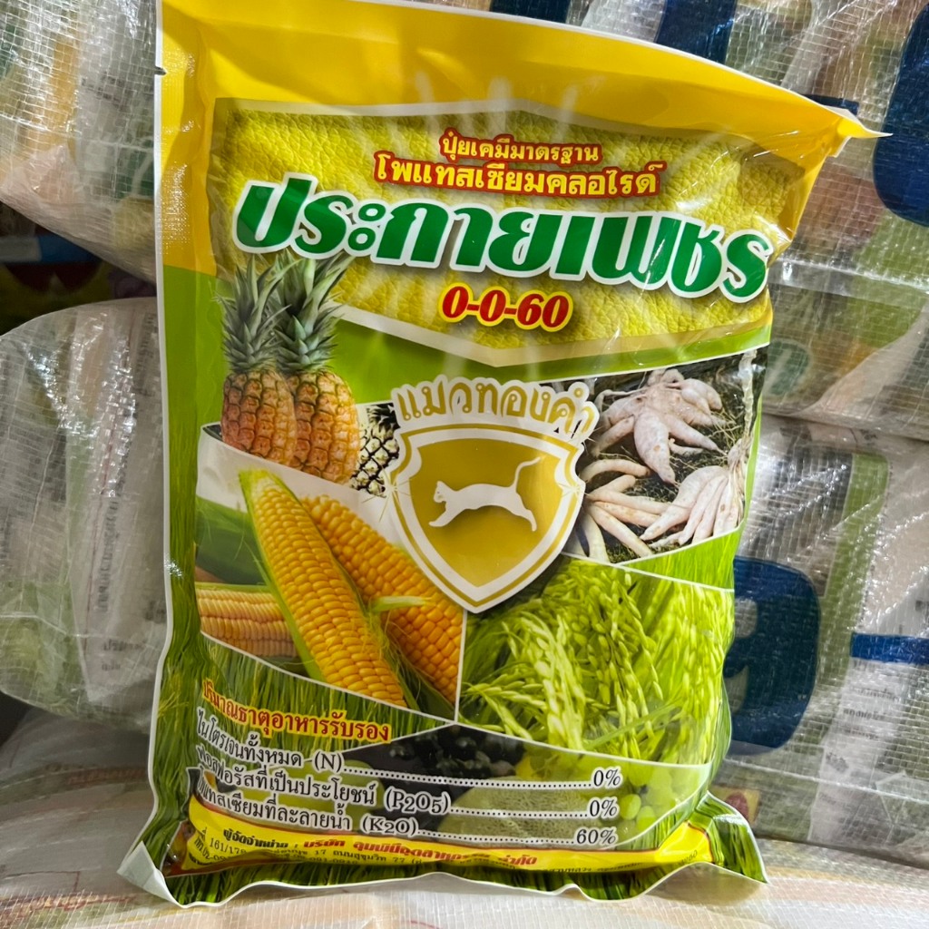 ปุ๋ยเกร็ด 0-0-60 สำหรับฉีด เร่งลงหัว ขนาด 1 กิโลกรัม