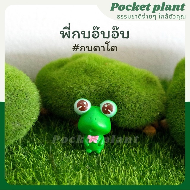 มุมมอง 6