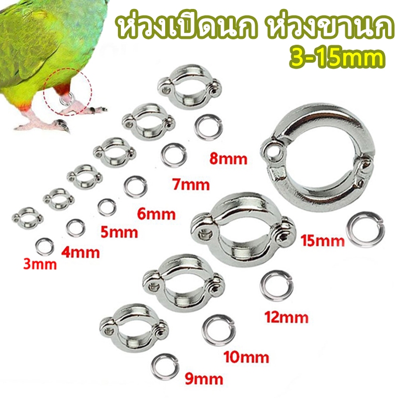 ห่วงเปิดนก ห่วงขานก 3-15มม. สำหรับนกแก้วทุกชนิด ห่วงเปิดปิดนก ห่วงขานก เลิฟเบิร์ด ใช้กับสายยืดคล้องขานกได้ ราคา ถูกที่สุด ดีลบีเคเค