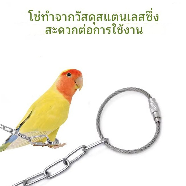 ห่วงเปิดนก ห่วงขานก 3-15มม. สำหรับนกแก้วทุกชนิด ห่วงเปิดปิดนก ห่วงขานก เลิฟเบิร์ด ใช้กับสายยืดคล้องขานกได้ ราคา ถูกที่สุด ดีลบีเคเค แกลเลอรีภาพที่ 6