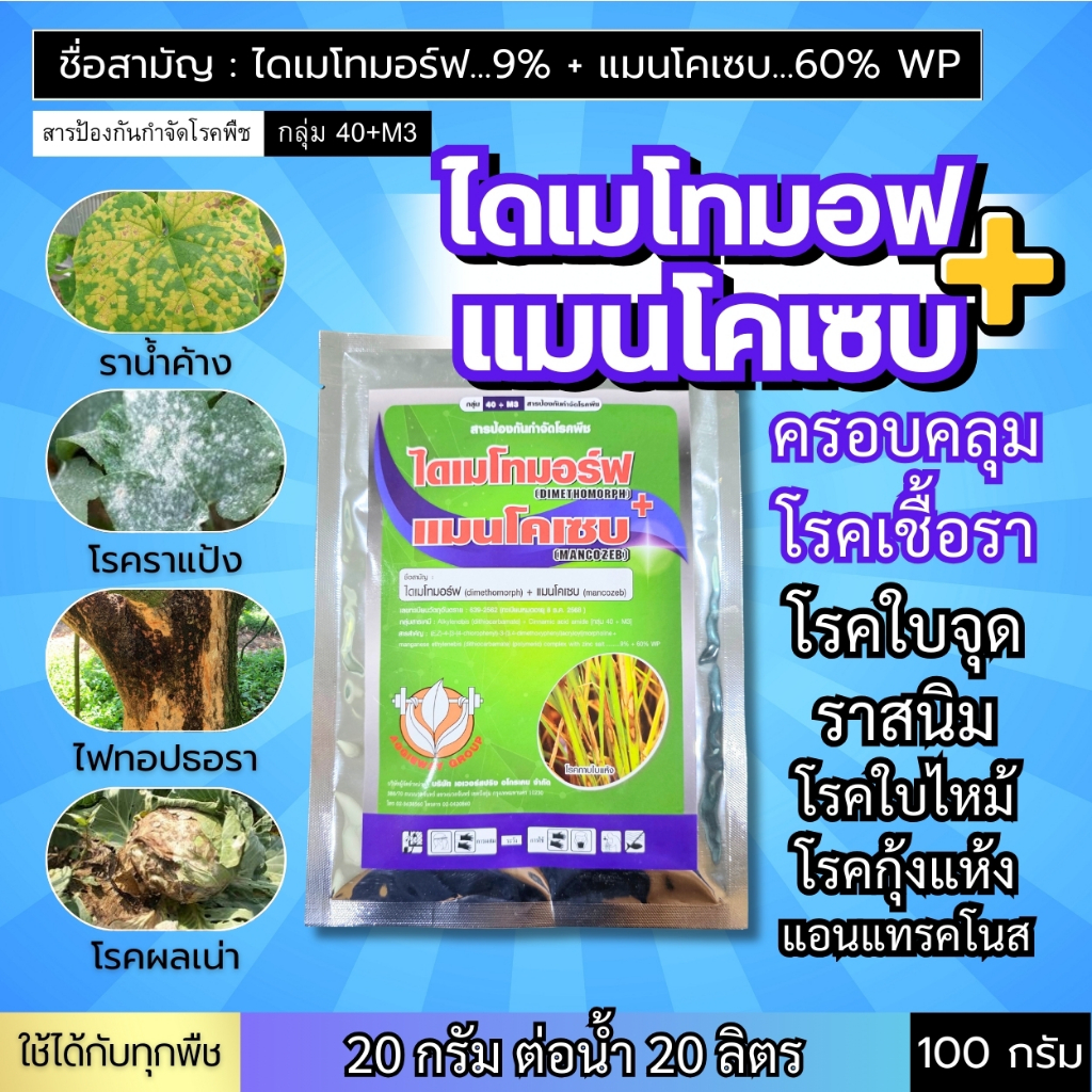 ไดเมโทมอร์ฟ+แมนโคเซบ : 2 พลังบวก (ครอบคลุมเชื้อรา) ราน้ำค้าง ราแป้ง ไฟทอปธอรา ผลเน่า ใบจุด กุ้งแห้ง ใบไหม้ แอนแทรคโนส