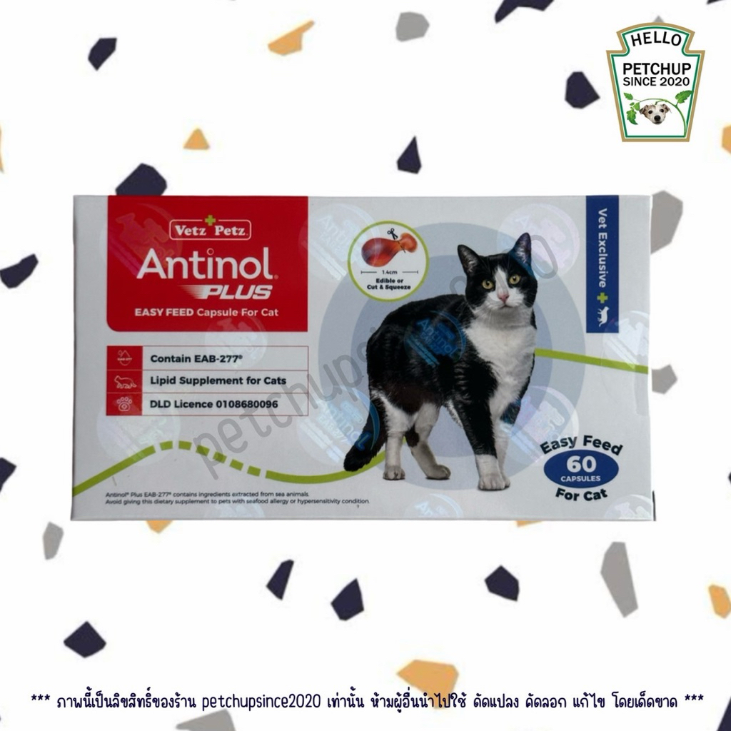 Antinol Cat 60 Capsules สูตรใหม่ EAB 277™ (กล่องใหม่เคลือบโฮโลแกรมรอบกล่อง) หมดอายุ 01/2028