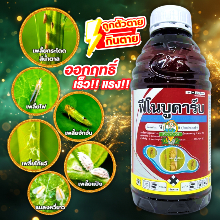 ฟีโนบูคาร์บ 50% ขนาด 1ลิตร กำจัดแมลง เพลี้ยกระโดดสีน้ำตาล เพลี้ยอ่อน เพลี้ยจั๊กจั่นฝอย แมลงบั่ว ด้วง