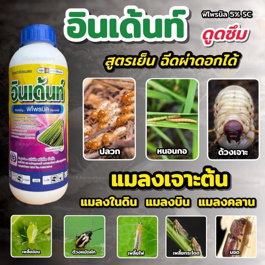 อินเด้นท์ fipronil (สูตรเย็นพิเศษ) ฟิโพรนิล ฟิโฟรนิล ฟิโปรนิล กําจัดแมลง ด้วง หนอน เพลี้ย ปลวก บั่ว แมลงหล่า มด มอด