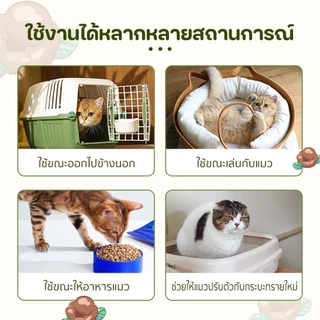 Petcho (WinkyWink) สเปรย์หญ้าแมว สำหรับแมว ส่วนผสมจากธรรมชาติ ลดความเครียดแมว เพิ่มการมีปฏิสัมพันธ์ เติมน้ำ