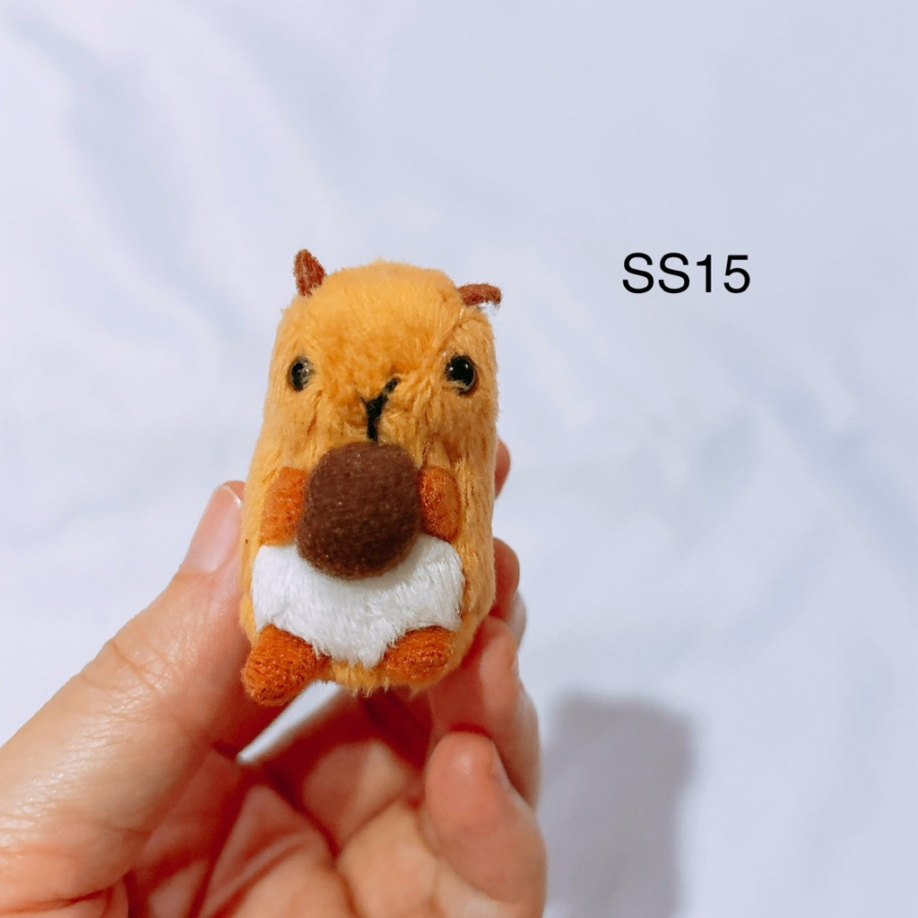 squirrel jellyfish ตุ๊กตา จิ๋ว a show กระรอก squirrel