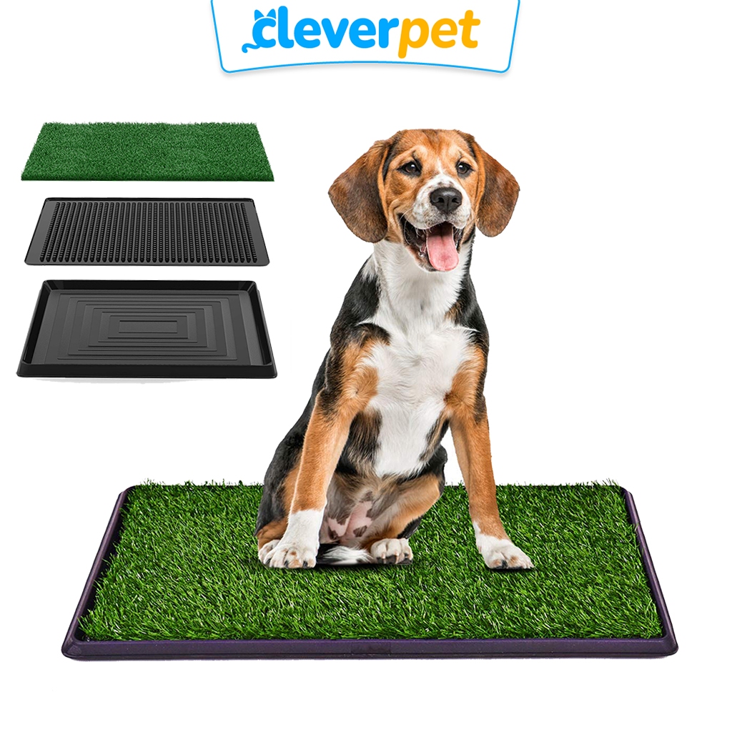 [ส่งฟรี ] CleverPet ห้องน้ำสุนัข Pet Potty แผ่นซับฉี่สุนัข ถาดฉี่ แผ่นฉี่สุนัข Dog Pee Pad