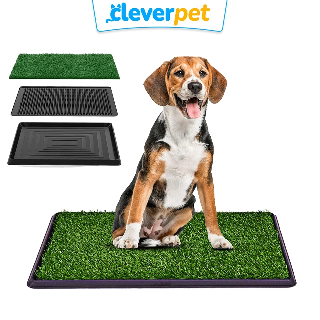 [ส่งฟรี🇹🇭] CleverPet ห้องน้ำสุนัข Pet Potty แผ่นซับฉี่สุนัข ถาดฉี่ แผ่นฉี่สุนัข Dog Pee Pad