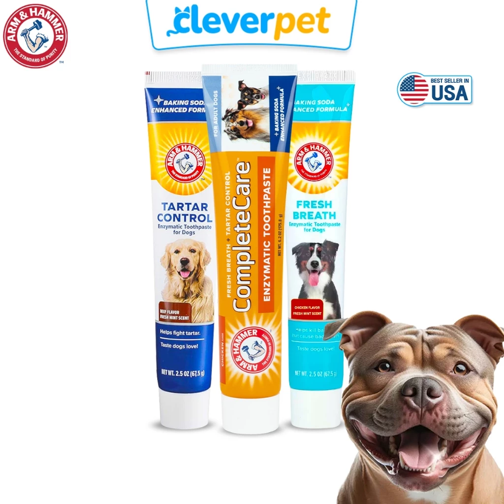 [ส่งฟรี🇹🇭] ARM & HAMMER ยาสีฟันสุนัข แมว รสเนื้อวัว สลายหินปูน ทําความสะอาดฟัน Dog Toothpaste CleverPet