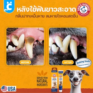 [ส่งฟรี🇹🇭] ARM & HAMMER ยาสีฟันสุนัข แมว รสเนื้อวัว สลายหินปูน ทําความสะอาดฟัน Dog Toothpaste CleverPet
