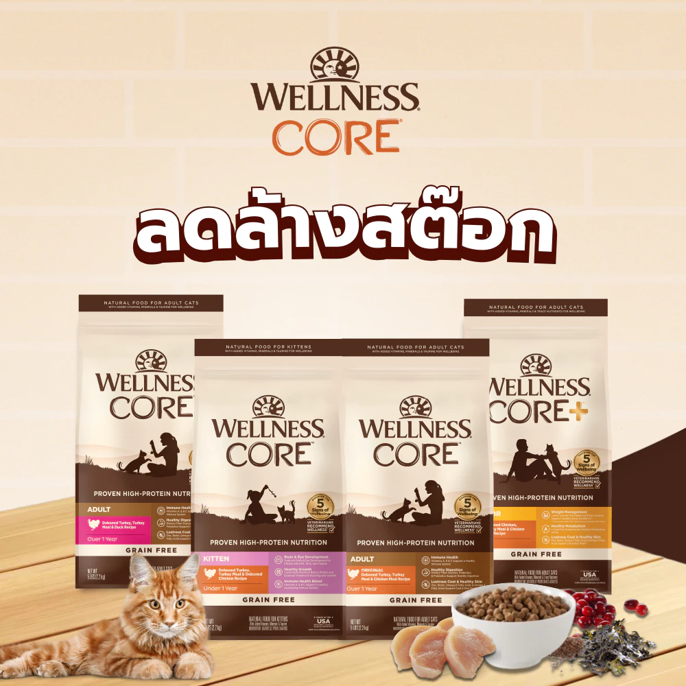 [ลดล้างสต๊อก Short Expired] WELLNESS CORE อาหารแมวพรีเมี่ยม มีให้เลือกหลายสูตรทุกช่วงวัย (แมวเด็ก - แมวโต)