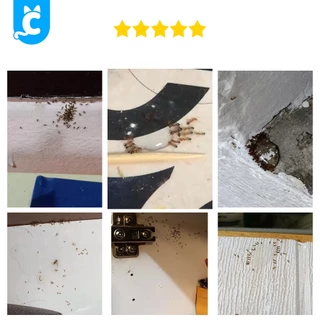 [ส่งฟรี🇹🇭] Anti Ant เจลกำจัดมด และแมลง ปลอดภัย ไร้กลิ่น แอนตี้แอนท์ CleverPet