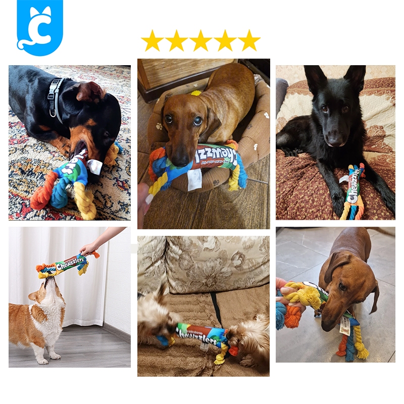 [ส่งฟรี🇹🇭] Doglemi ของเล่นสุนัข เชือกกัด เชือกขัดฟัน ของเล่นสุนัขทนทาน Dog Toy CleverPet - รูปที่ 3
