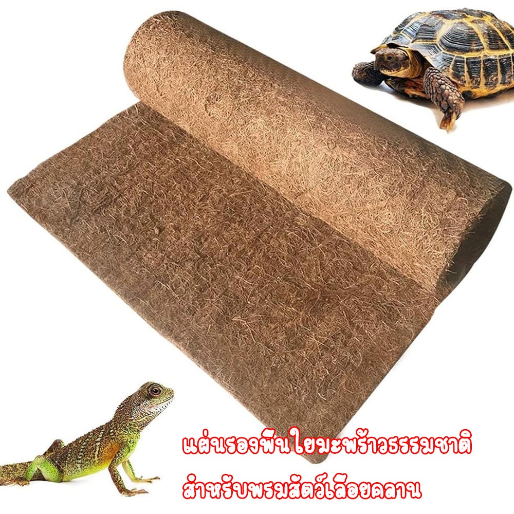 ราคาถูก แผ่นรองพื้นใยมะพร้าวธรรมชาติสำหรับพรมสัตว์เลื้อยคลาน พรมรองที่นอนเต่า งู กิ้งก่า สัตว์เลื้อยคลาน ราคา ถูกที่สุด ดีลบีเคเค รูปภาพหลัก