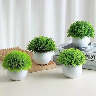 ต้นไม้กระถาง ต้นไม้เล็ก หญ้าเทียม ดอกไม้ประดิษฐ์ บอนไซประดับ…