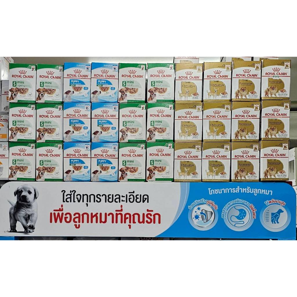 Royal Canin อาหารเปียกสุนัข โรยัล คานิน ยกกล่อง