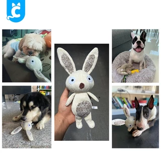 [ส่งฟรี🇹🇭] CleverPet ของเล่นสุนัข บีบมีเสียง แข็งแรงทนทาน ตุ๊กตาสุนัข Rabbit Dog Toy