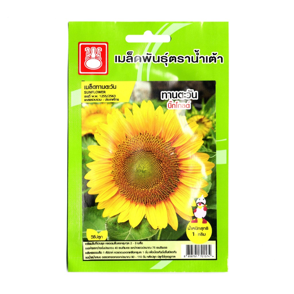 ใหม่!! เมล็ดพันธุ์ ดอกทานตะวัน พันธุ์บิ๊กโกลด์ (น้ำเต้า) คัดพิเศษ งอกดี โตไว ดอกใหญ่ ปลูกได้ทุกฤดู ซอง 1 กรัม(20เมล็ด+-)