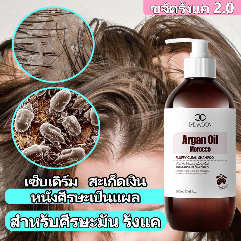 ยาสระผมขจัดรังแค แชมพูขจัดรังแค ยาสระผม 500ML ขจัดรังแค ลดคันหัว กำจัดไร ลดผมร่วง บํารุงรากผม แชมพูรังแค shampoo