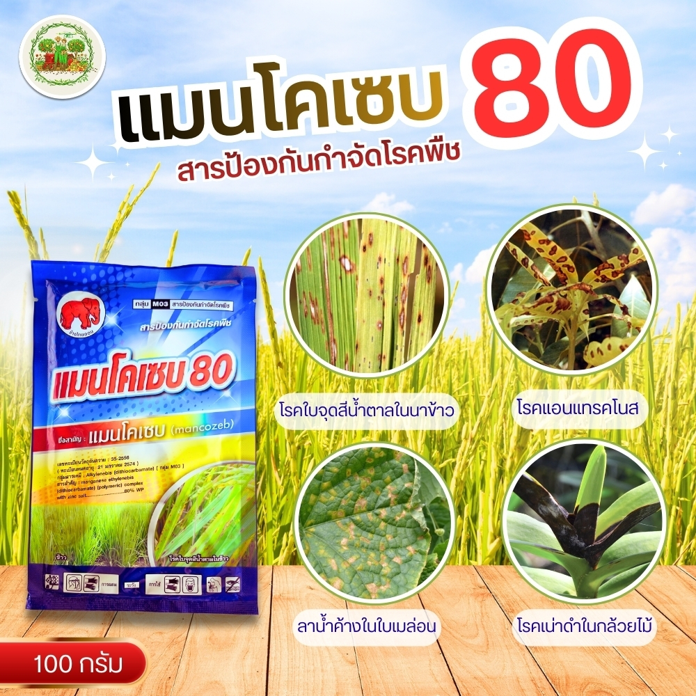 ไดเทน แมนโคเซบ สารกำจัดเชื้อรา โรคเน่า แอนแทรคโนส ขนาด 100 กรัม