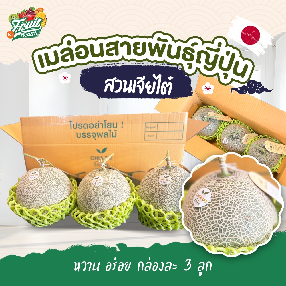 เมล่อนสายพันธุ์ญี่ปุ่น เมล่อน สวนเจียไต๋ by Fruit for Health