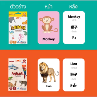 Mornington Flashcard ชุดแฟลชการ์ด การ์ดคำศัพท์ บัตรคำ 3 ภาษา เสริมพัฒนาการเด็ก / กล่อง