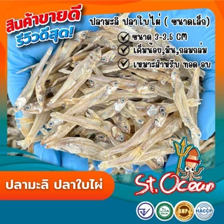 ปลามะลิ ปลาใบไผ่ตากดิบ คุณภาพส่งออก มาตรฐาน อ.ย. Halal GMP HACCP
