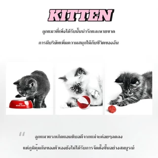 อาหารแมว แมวเด็ก Royal Canin Kitten รอยัลคานิล เหมาะสำหรับลูกแมว อายุ 4 - 12 เดือน ((แบบแบ่งขาย))