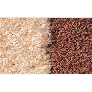 ไซเลียมฮัสก์ Psyllium Husk เกรดข้าวกล้อง Brown Psyllium Fiber ไฟเบอร์สูง ช่วยขับถ่าย 100g แพคเกจใหม่