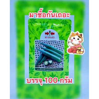 กระเจี๊ยบเขียว คิงส์สตาร์ เมล็ดพันธุ์กระเจี๊ยบเขียว ตราศรแดง(สิ้นอายุ01/71) บรรจุ 100 กรัม