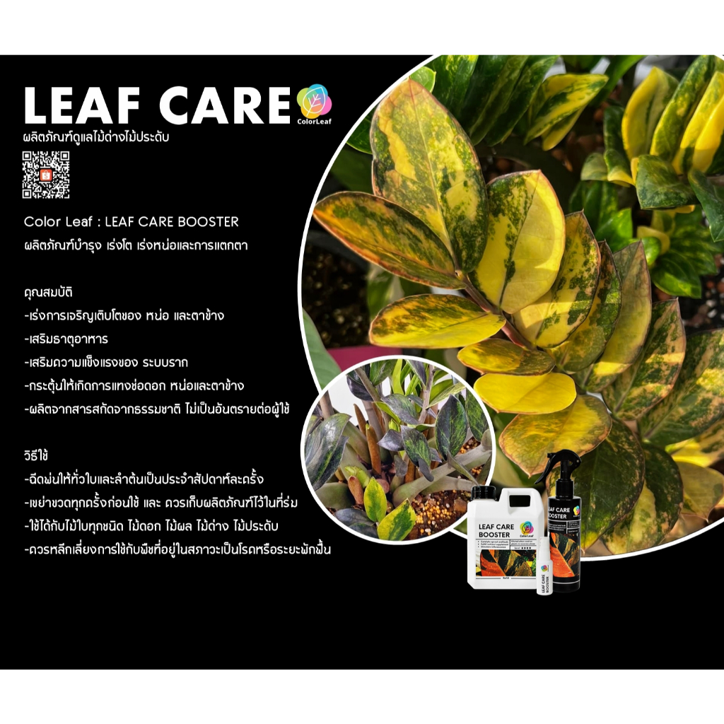 Color Leaf : LEAF CARE SUPER REFILL ชุดผลิตภัณฑ์ ทำความสะอาดเคลือบเงาใบไม้ บำรุงเร่งหน่อ และ ปูนทาแผลป้องกันเชื่อรา - รูปที่ 4